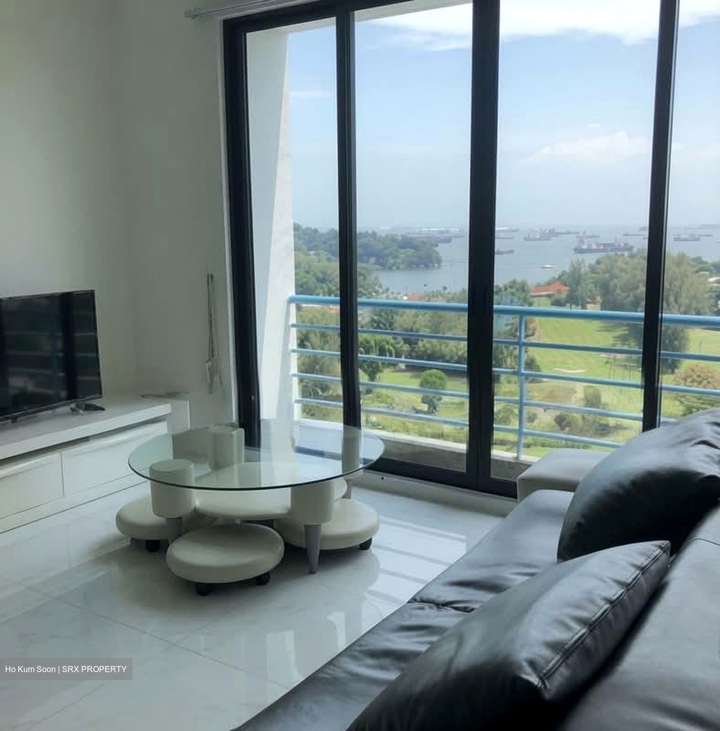 Harbour View Towers (D4), Condominium #589384901